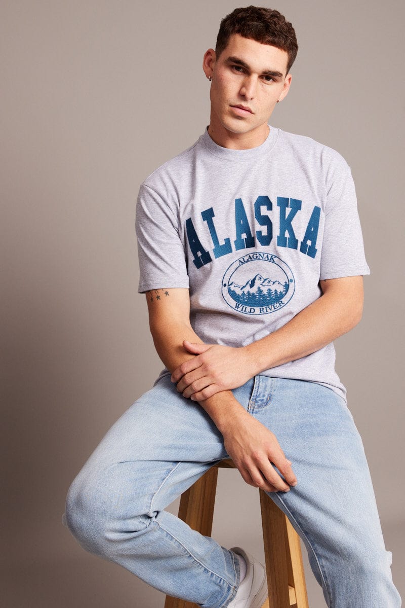 Grey Graphic Tee Embroidered Alaska Mountain T-shirt for AM Supply