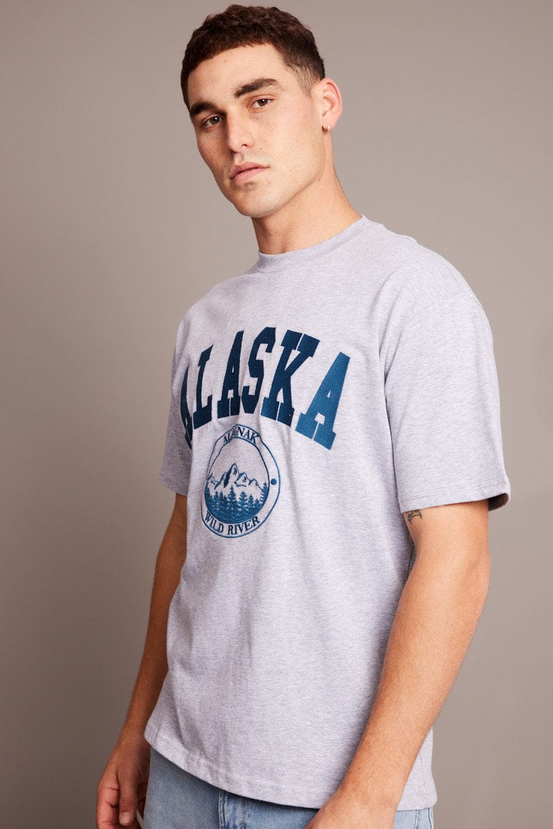 Grey Graphic Tee Embroidered Alaska Mountain T-shirt for AM Supply