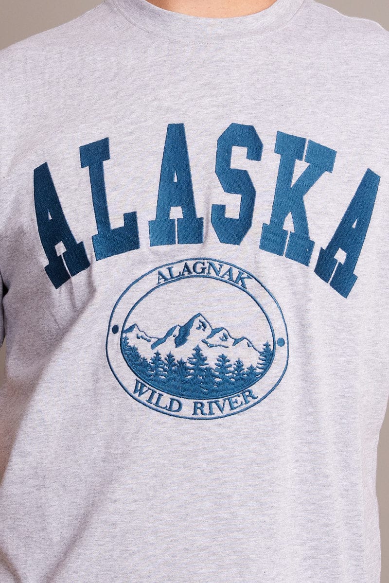 Grey Graphic Tee Embroidered Alaska Mountain T-shirt for AM Supply