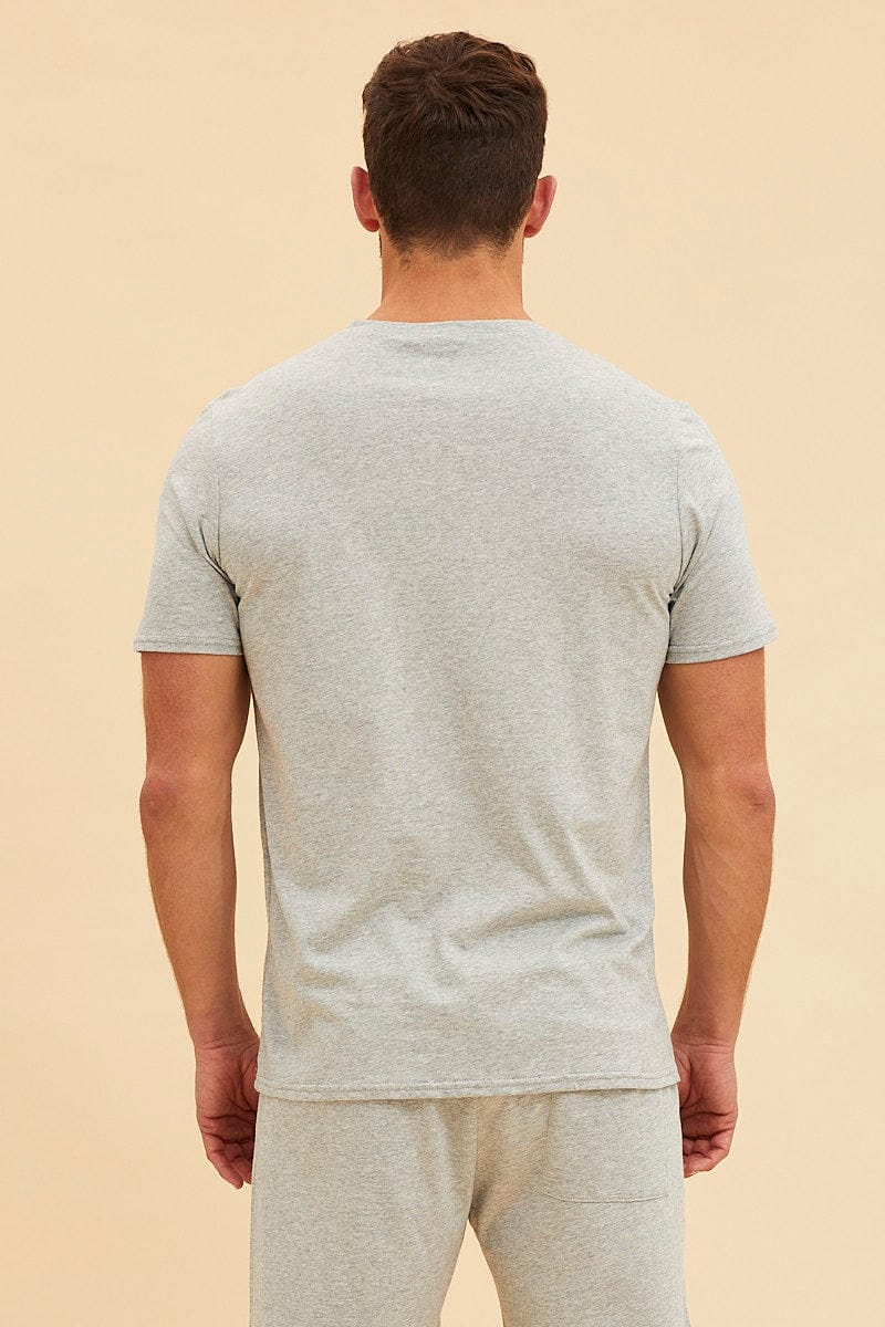 BASIC Grey V Neck T-Shirt Cotton Regular Fit for Women by Ally